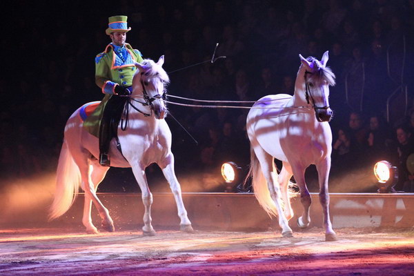Apassionata_2014    087.jpg